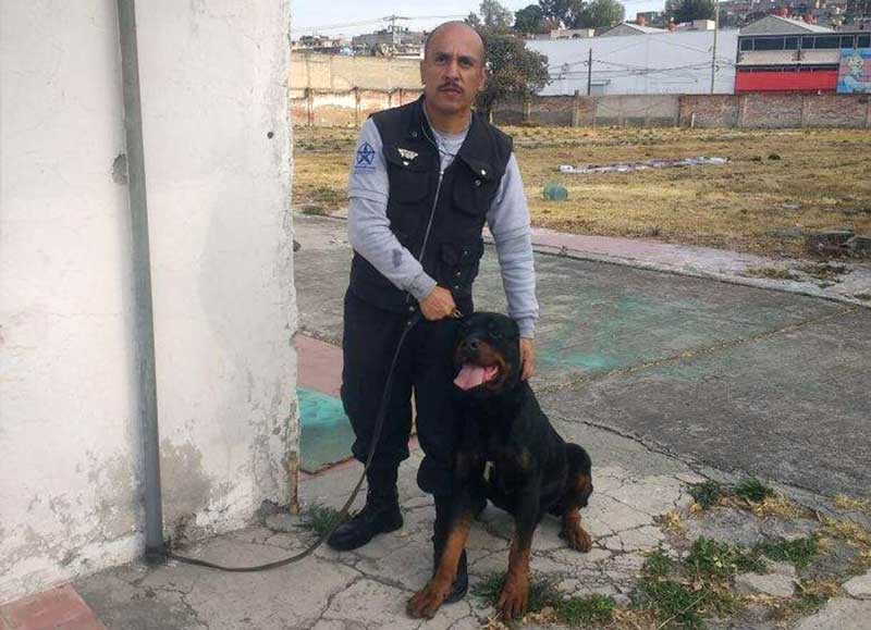 PENTAGRAMA SEGURIDAD PRIVADA - Adiestrados para resguardo PENTAGRAMA SEGURIDAD PRIVADA - Adiestrados para resguardo