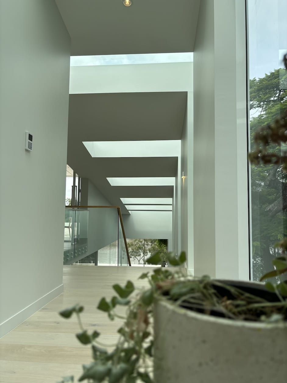 A potted plant is sitting in a hallway next to a window.
