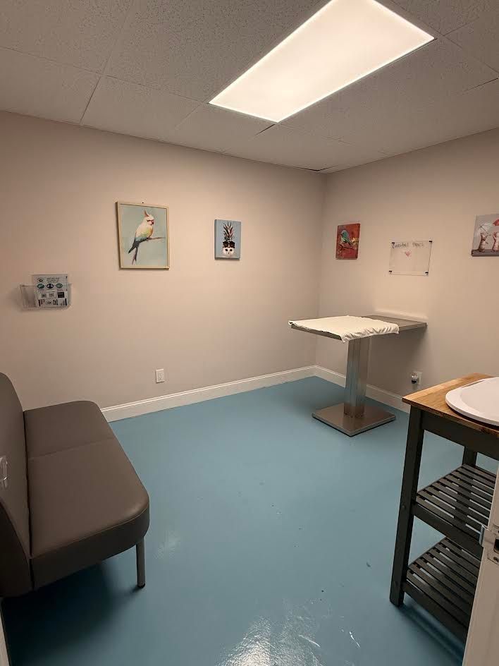 A veterinarian 's office with a table and cabinets
