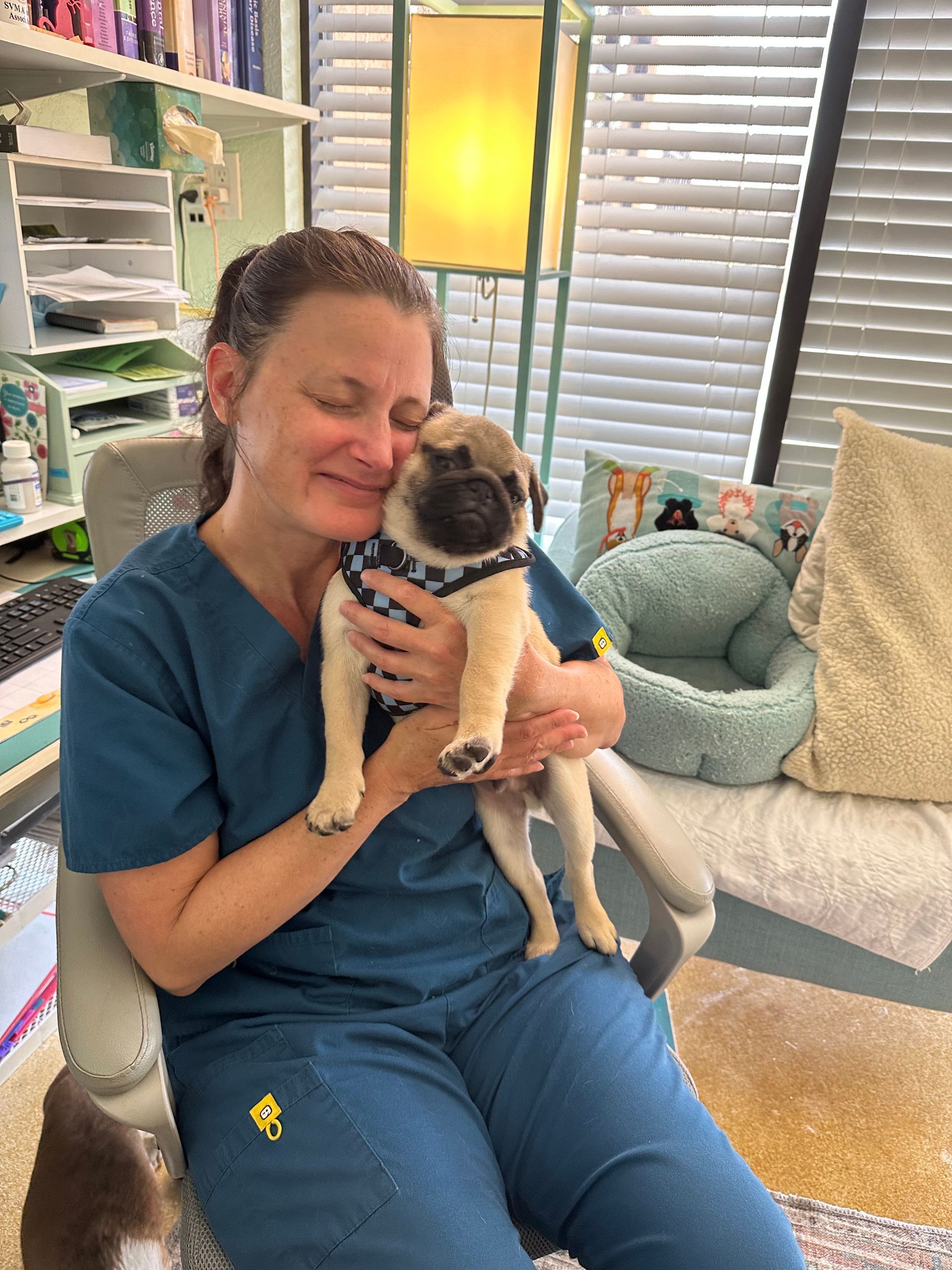Woman in blue scrubs cuddling a pug puppy indoors, both smiling. Background includes a lamp, chair, and desk.
