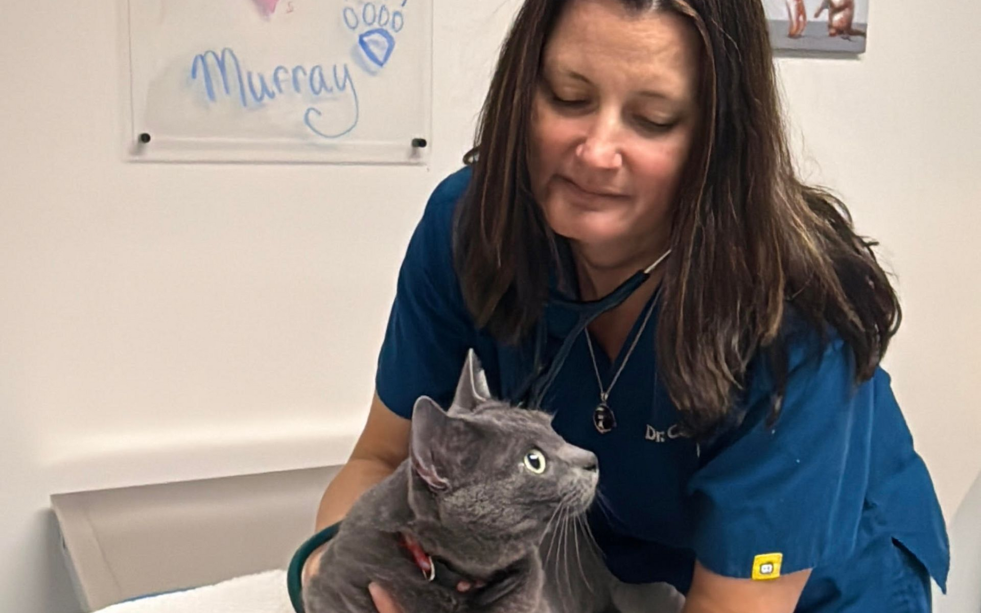 A veterinarian 's office with a table and cabinets