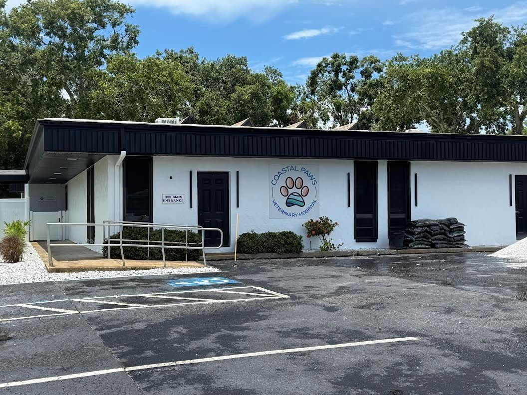 A veterinarian 's office with a table and cabinets