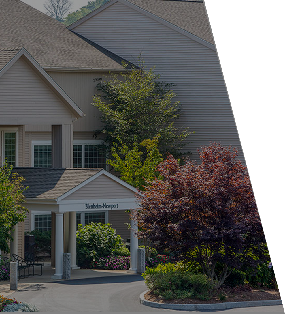 Entrance of a building with a covered portico, gray siding, and landscaped trees and shrubs
