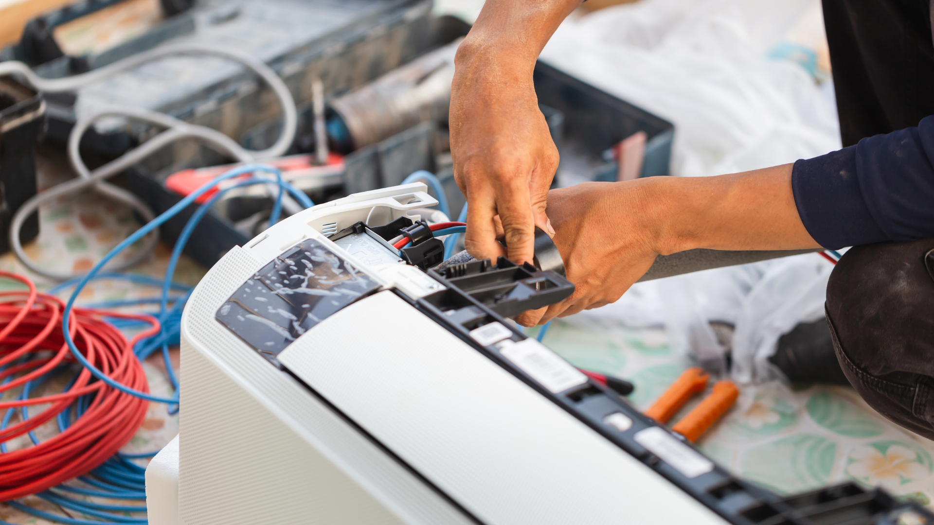 Sample Services