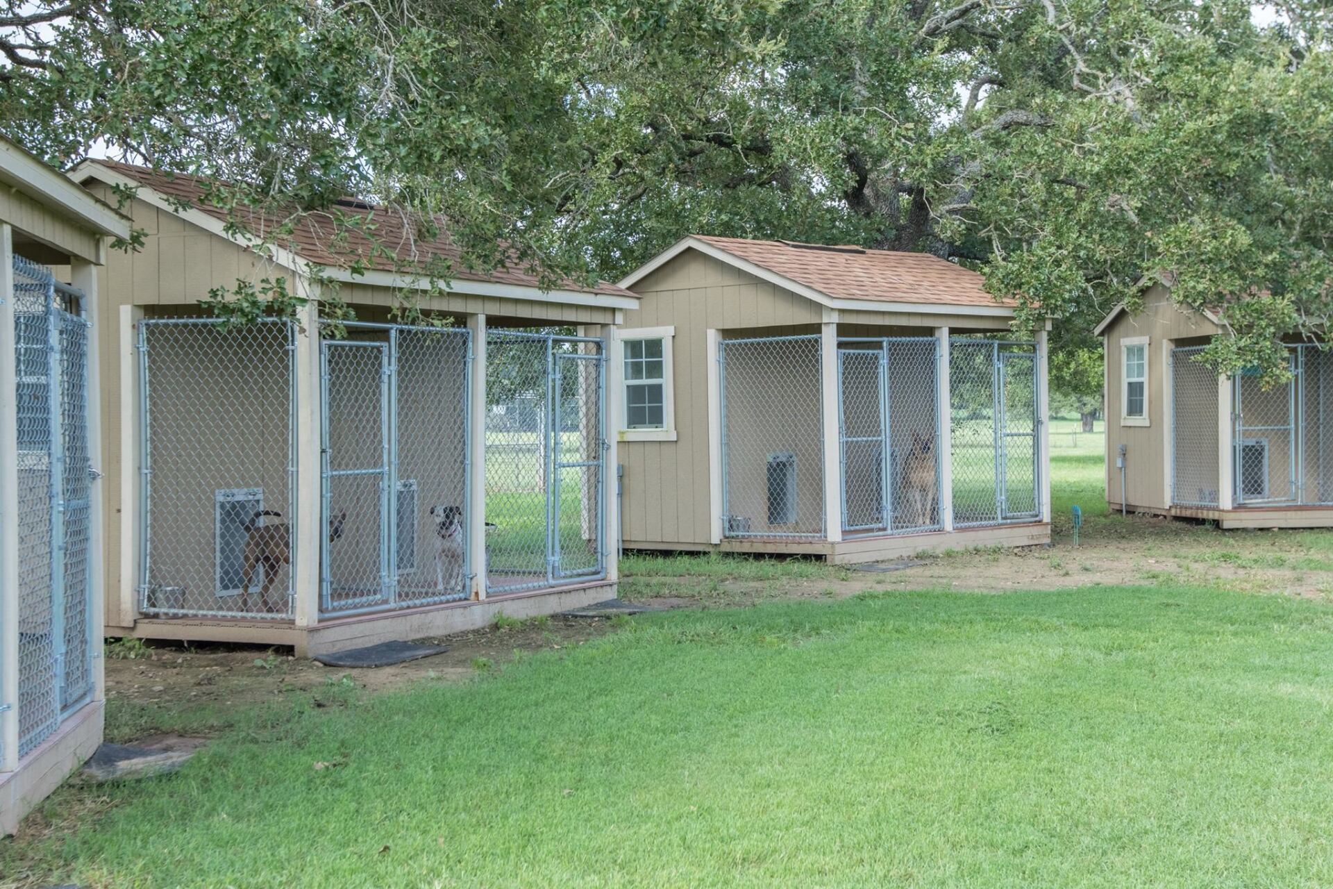 Dog kennels facility - Bastrop, TX - K9 Mastery