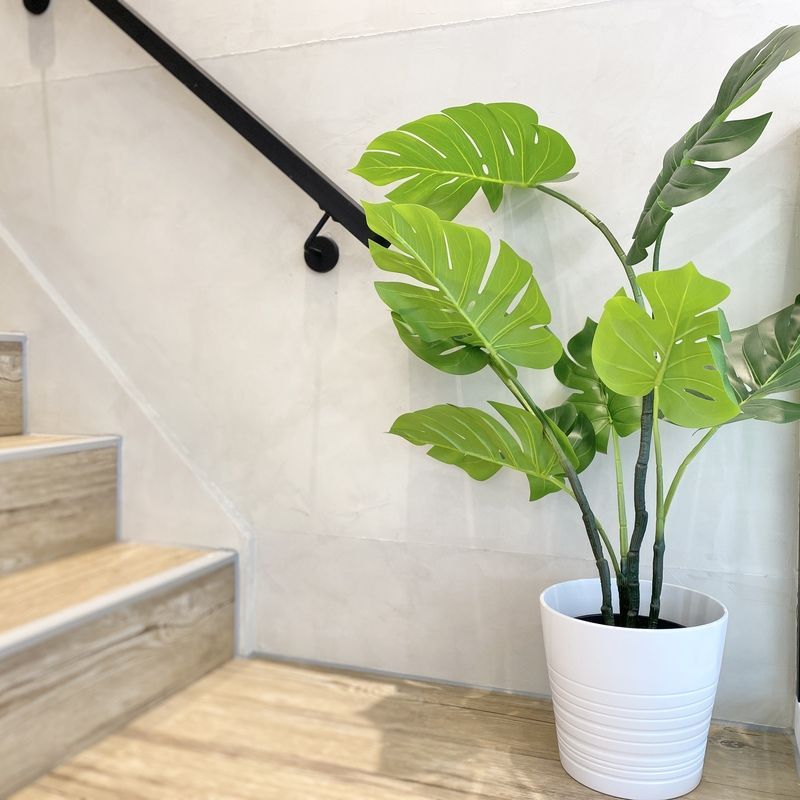 Plant