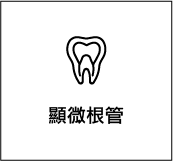 顯微根管