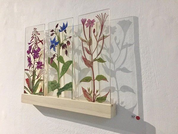 Yanny Petters’s 'By the vegetable patch', Rosebay Willowherb, Borage, Broadleaved Willowherb, verre églomisé, 21cmx8.5cmx4mm (each slide)