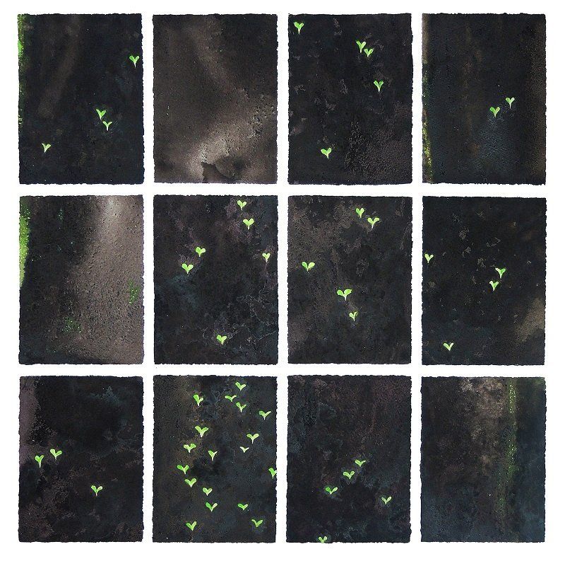 Ceapach - seedlings, a watercolour painting by Eoin Mac Lochlainn, Olivier Cornet Art Gallery, Dublin