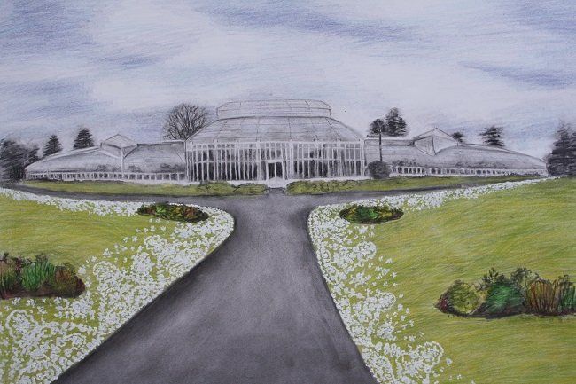 Lost Lace - Botanic Gardens, a drawing by Miriam McConnon, Olivier Cornet Gallery, Dublin