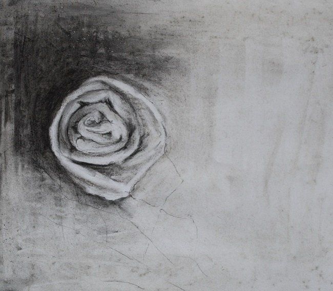 Individual Rose, a drawing by Miriam McConnon, Olivier Cornet Gallery, Dublin