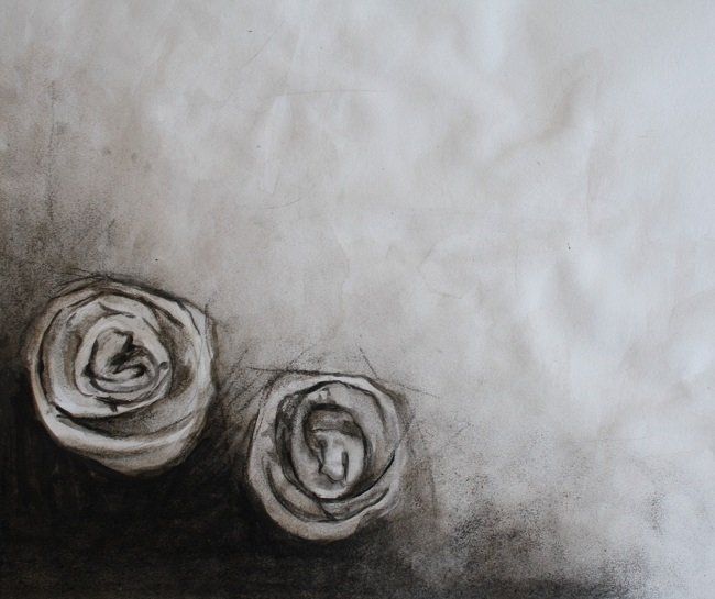 Two Individual Roses, a drawing by Miriam McConnon, Olivier Cornet Gallery, Dublin