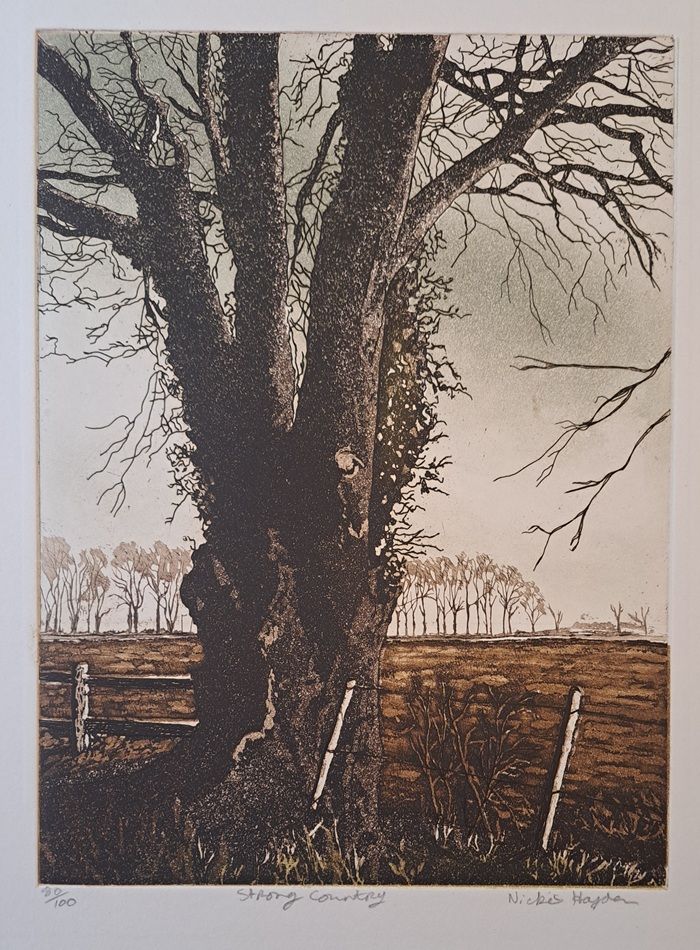 Strong country, an etching by Nickie Hayden, part of the 2026 Bloomsday / Summer group show at the Olivier Cornet Gallery, Dublin