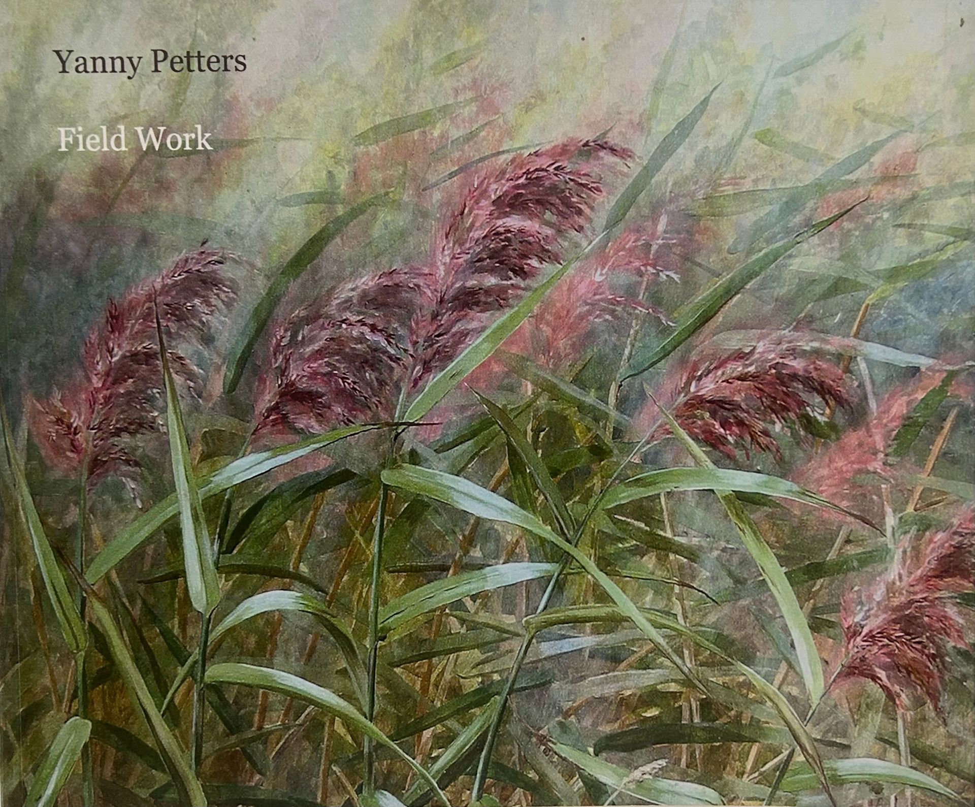 Catalogue cover of Yanny Petters' 2008 solo exhibition Fieldwork