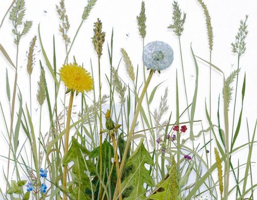 Meadow (detail), Verre Eglomisé, 44x32cm, part of Fieldwork with Mainie and Albrecht, a solo exhibition by Yanny Petters, 6 October - 10 November 2024, Olivier Cornet Gallery, Dublin. Meadow (detail), Verre Eglomisé, 44x32cm, part of Fieldwork with Mainie and Albrecht, a solo exhibition by Yanny Petters, 6 October - 10 November 2024, Olivier Cornet Art Gallery, Dublin.