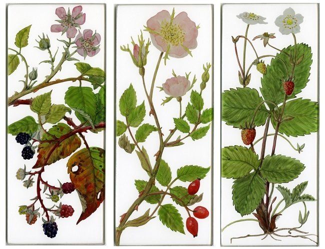 Yanny Petters, The Rose family, Bramble, Dog Rose, Wild Strawberry, verre églomisé paintings, Olivier Cornet Gallery