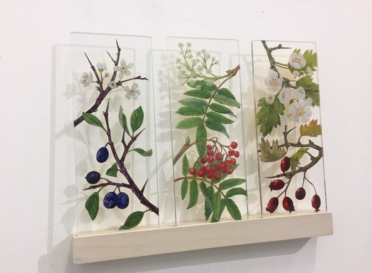 Yanny Petters, 'Three trees', Blackthorn, Rowan, Hawthorn, verre églomisé, 21cmx8.5cmx4mm (each), collection of the Shirley Sherwood Gallery of Botanical Art, Kew, London (UK)