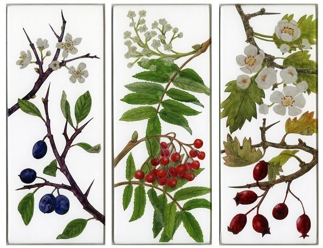 Yanny Petters, Three trees, Blackthorn, Rowan, Hawthorn, verre églomisé paintings, Olivier Cornet Gallery