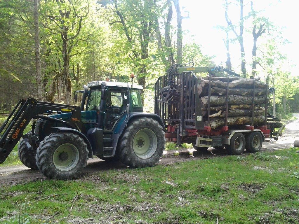 Wex Mathias Transporte - Erdbau Wurzelstockfräsen﻿ in Reutte