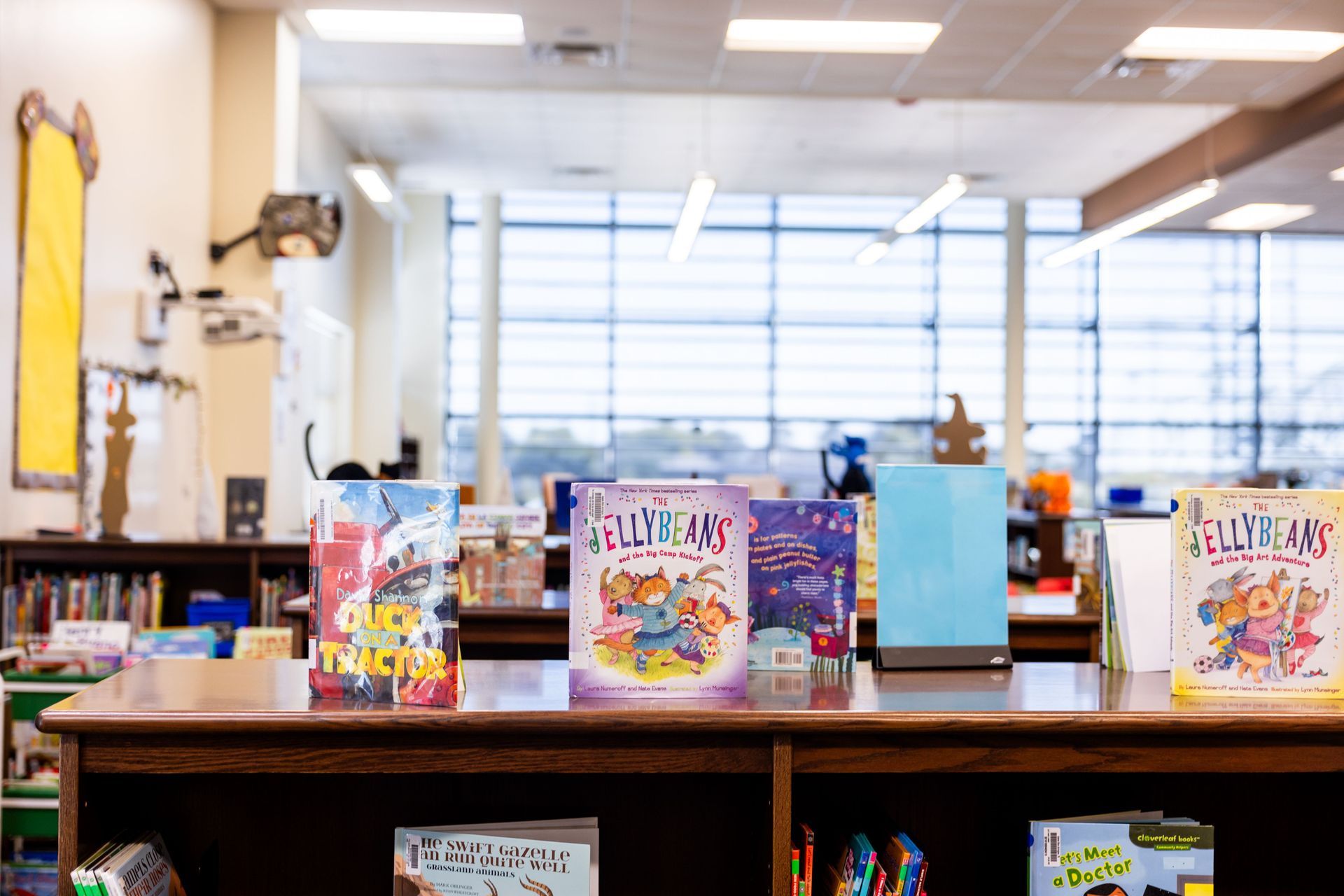 Colorful books displayed on a library or classroom shelf with a bright windowed background