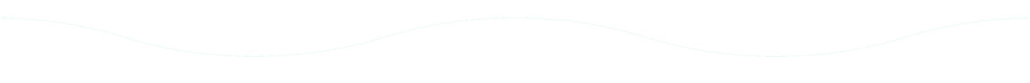 White horizontal banner with thin gray borders and a blank center.