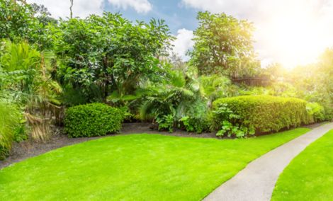 Sunny landscaped garden with green lawn, shrubs, trees, and a curved stone path