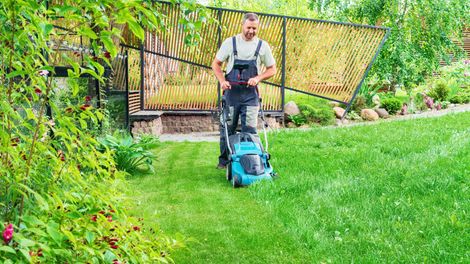 Person pushing a blue lawn mower across a lush green yard near a fence and garden.