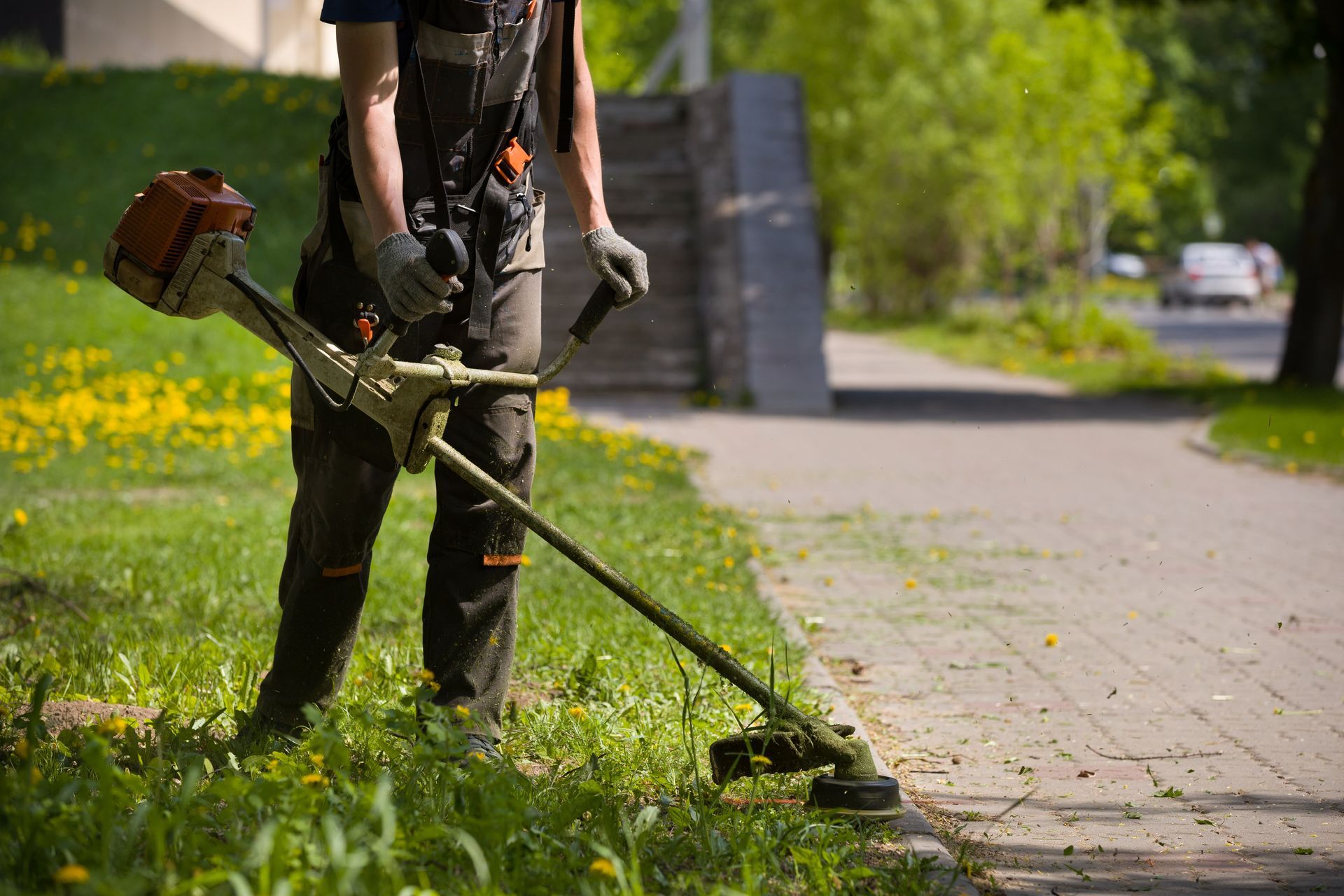 Person using a string trimmer to cut grass along a sidewalk in a sunny park