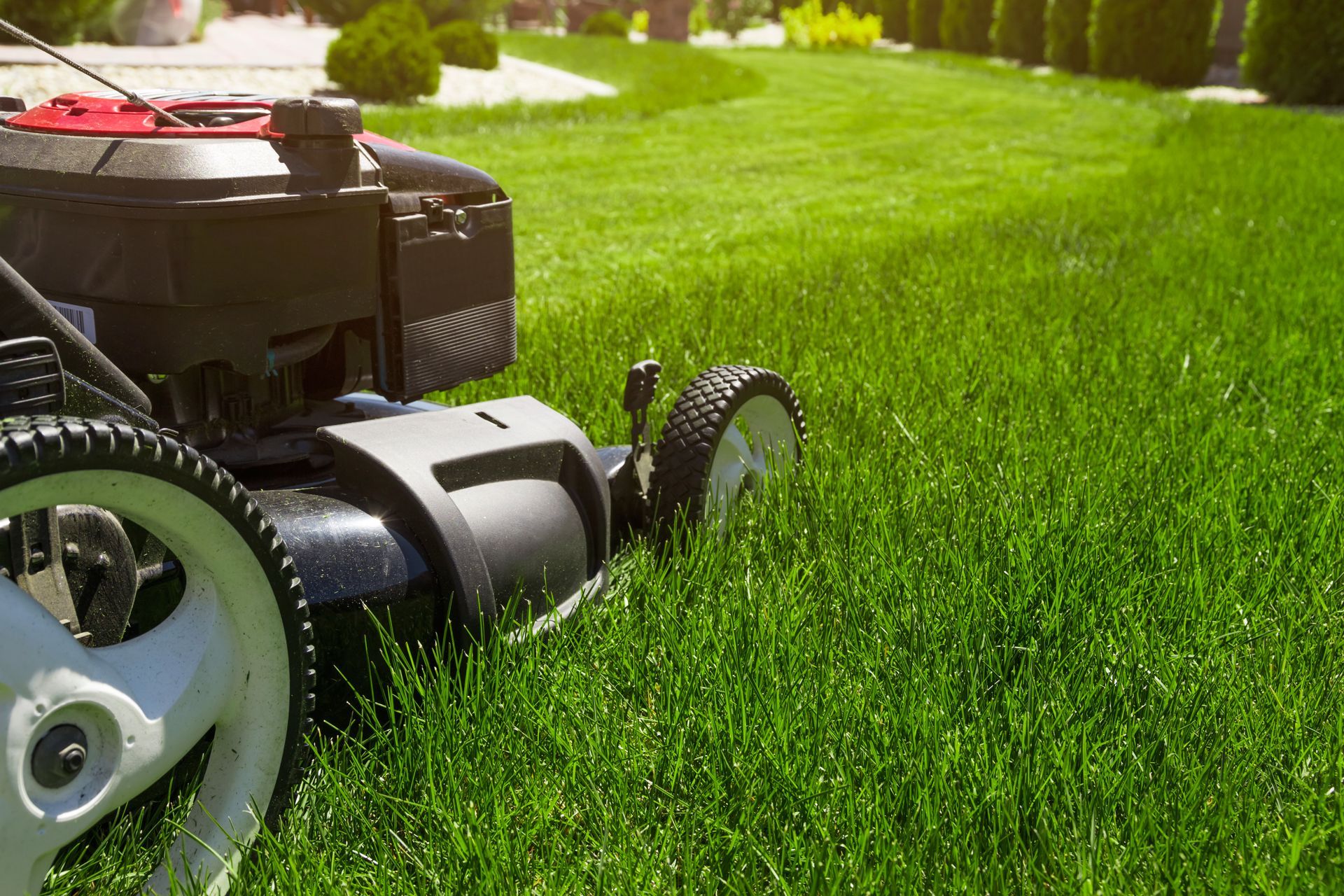 Lawn mower cutting bright green grass in a sunny yard