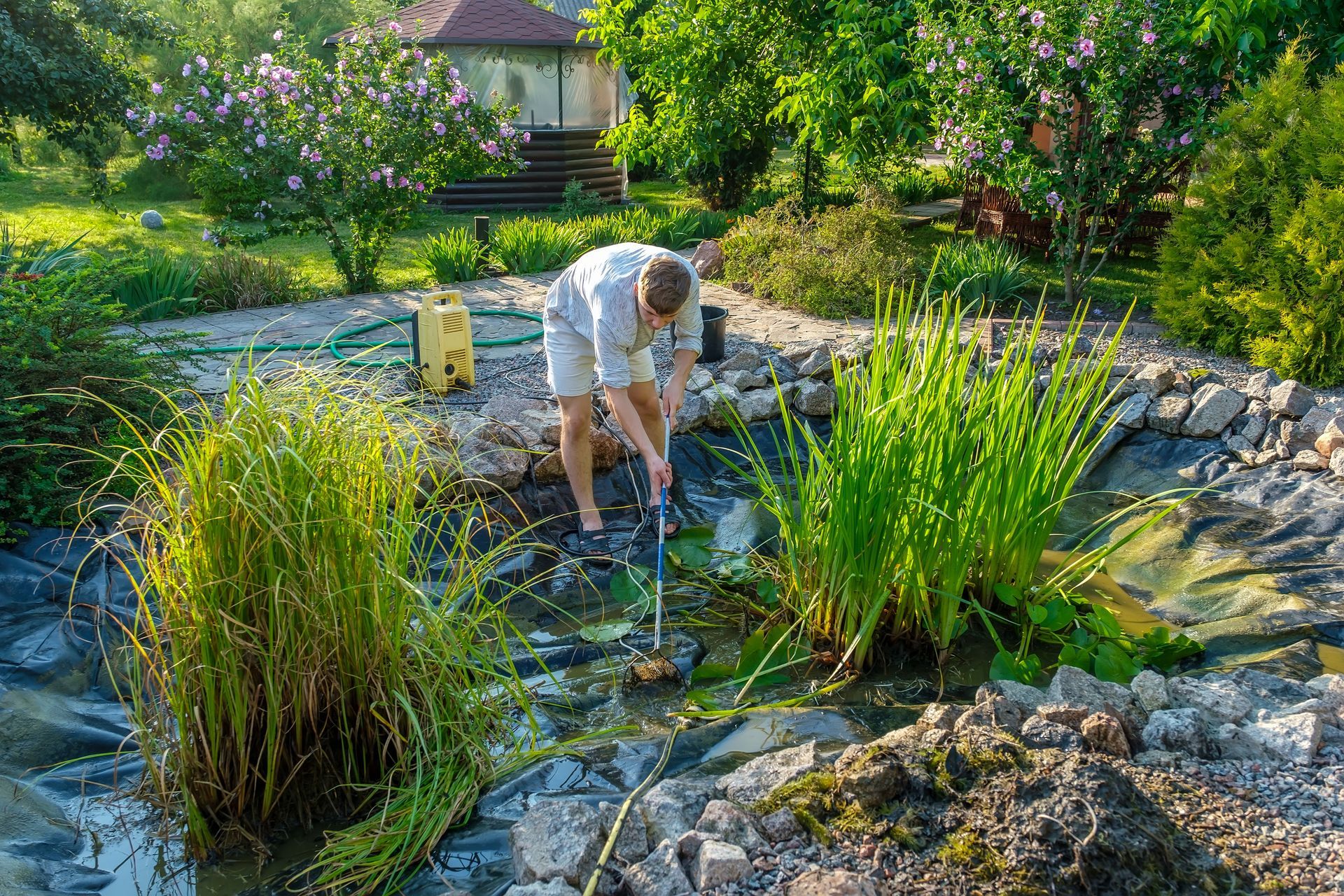 Person kneeling in a garden pond, working among tall grasses and rocks in bright sunlight