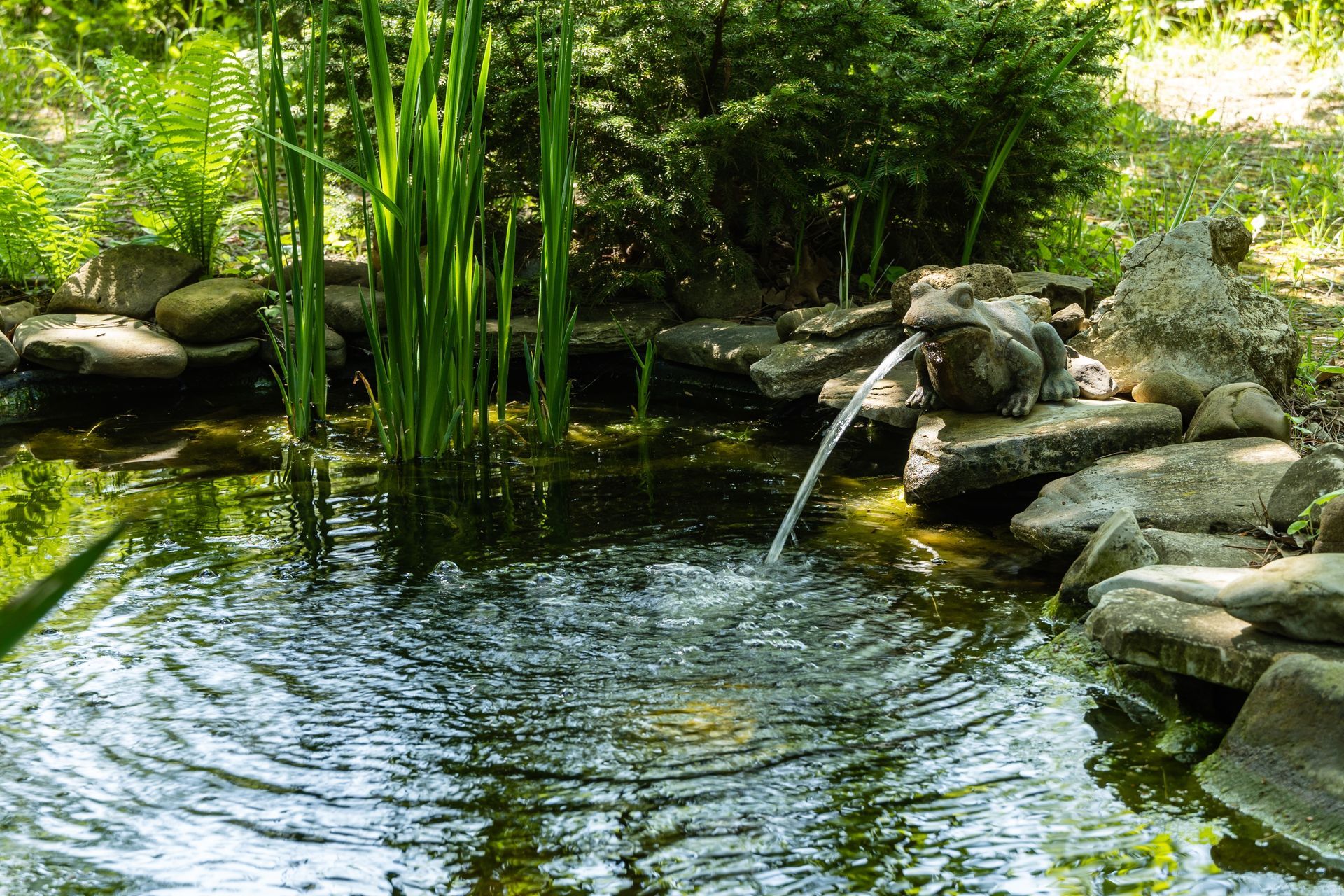Garden pond with rippling water, bamboo, and rocks in a lush green setting