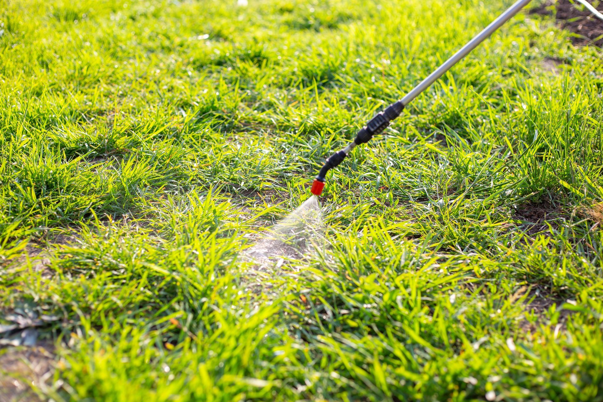 A sprinkler sprays water over a green grassy lawn in sunlight.