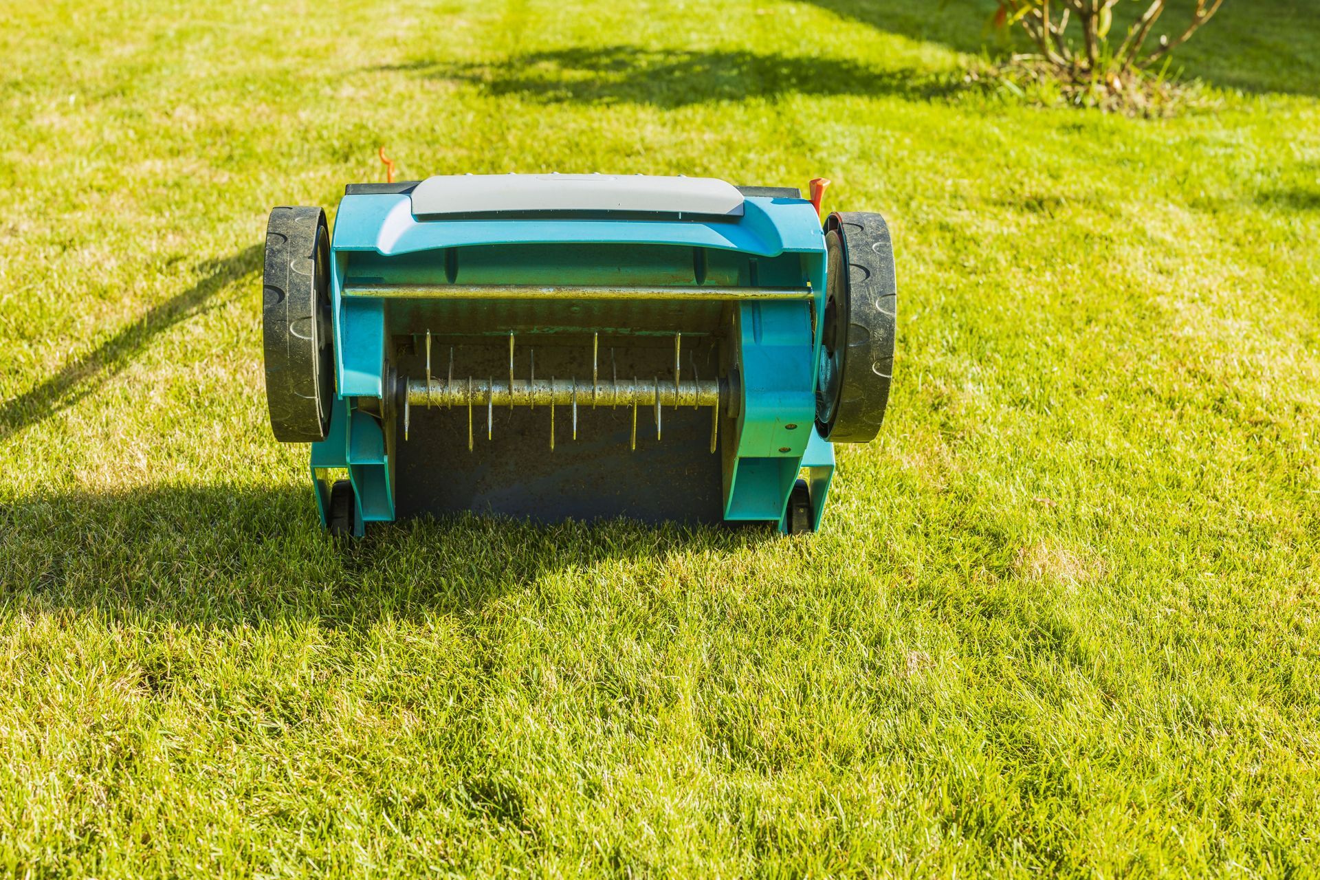 Blue lawn mower on green grass in a sunny yard