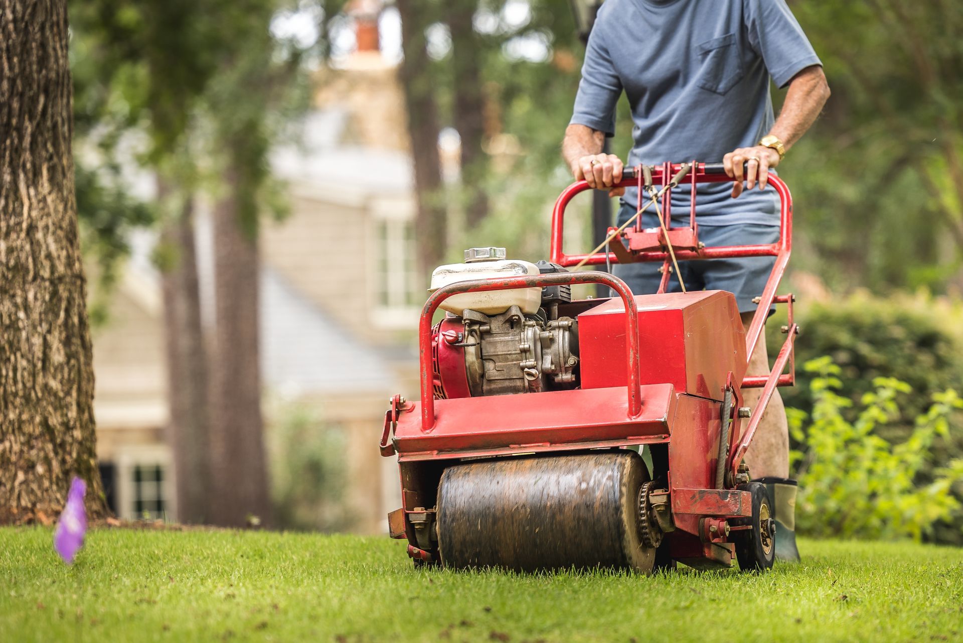Person mowing a green lawn with a red push mower in a garden.
