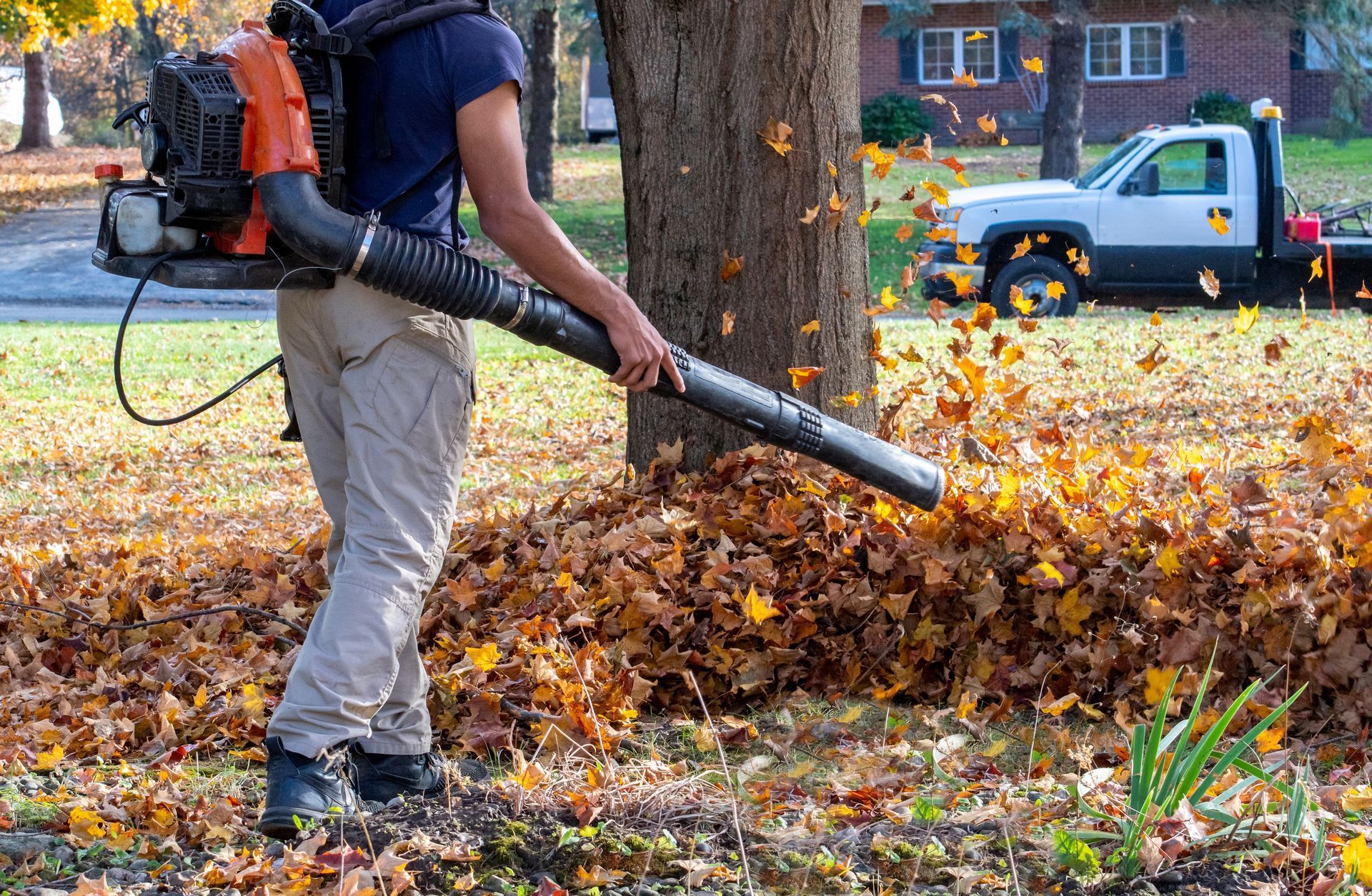 Person using a leaf blower to clear autumn leaves in a yard
