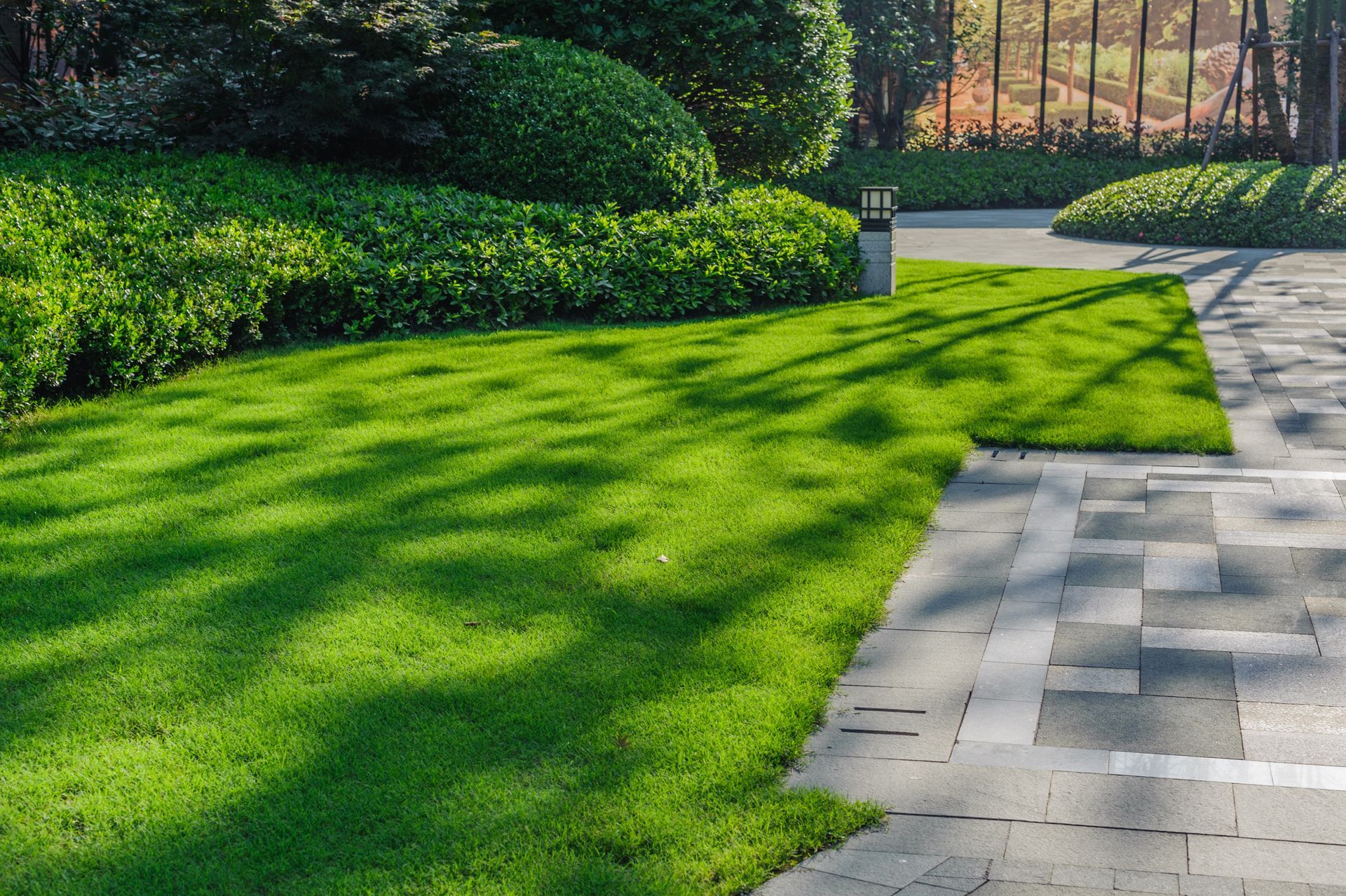 Sunlit green lawn beside a paved path with hedges and trees in a landscaped park