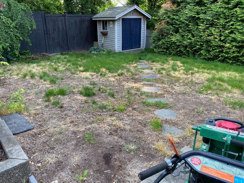 Backyard with patchy grass, stepping stones, a small shed, and a green tool cart in the foreground