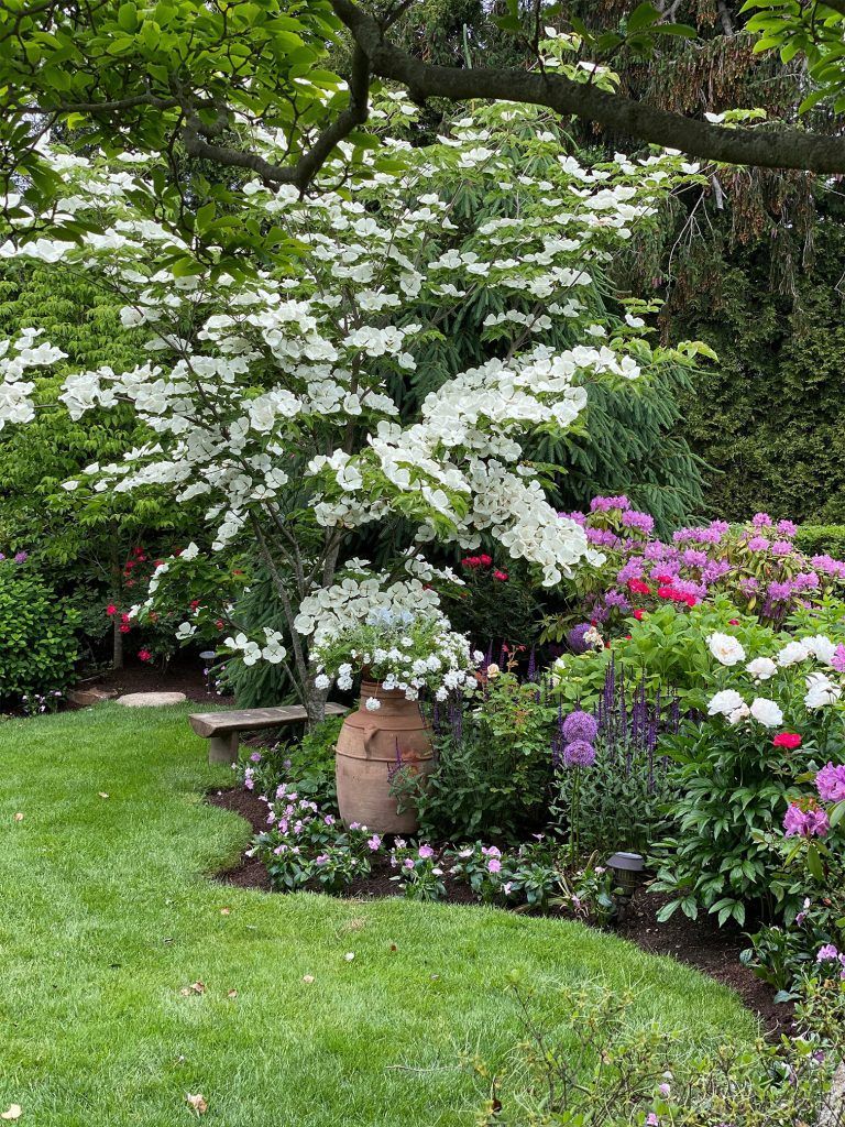 Lush garden with white flowering tree, pink blooms, green lawn, and a clay pot fountain centerpiece
