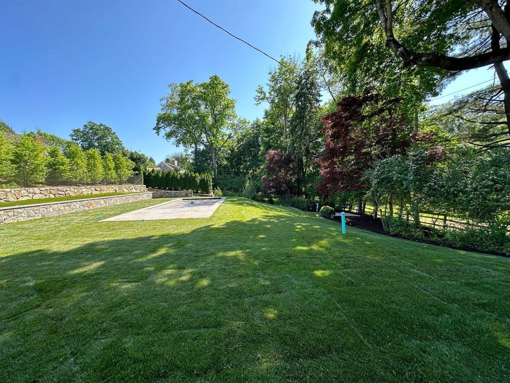 Sunlit grassy backyard with trees, a stone patio, and a fence along the right side