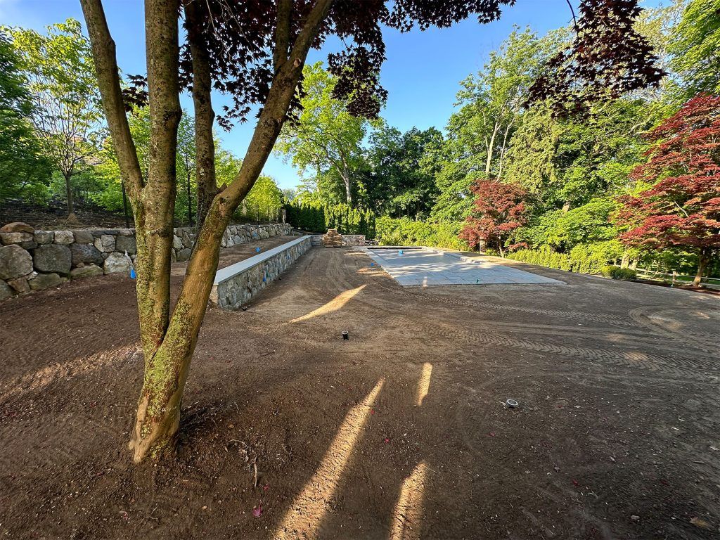 Tree-lined gravel path beside a stone wall in a landscaped garden on a sunny day