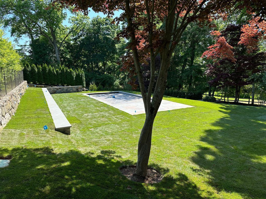 Sunny backyard with a grassy lawn, trees, a white bench, and a stone patio under shade