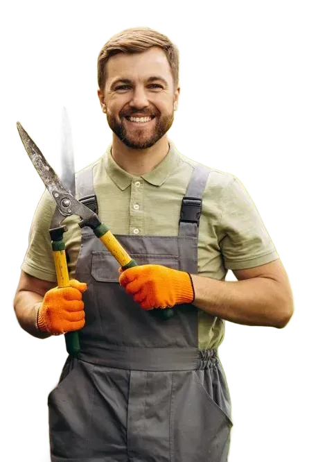 Smiling gardener holding hedge shears, wearing green shirt, gray overalls, and orange gloves on white background