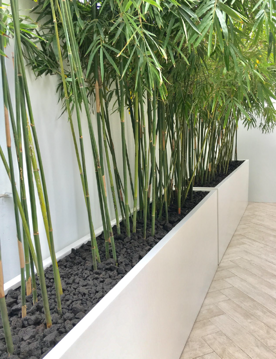 Greenville Planters Image
