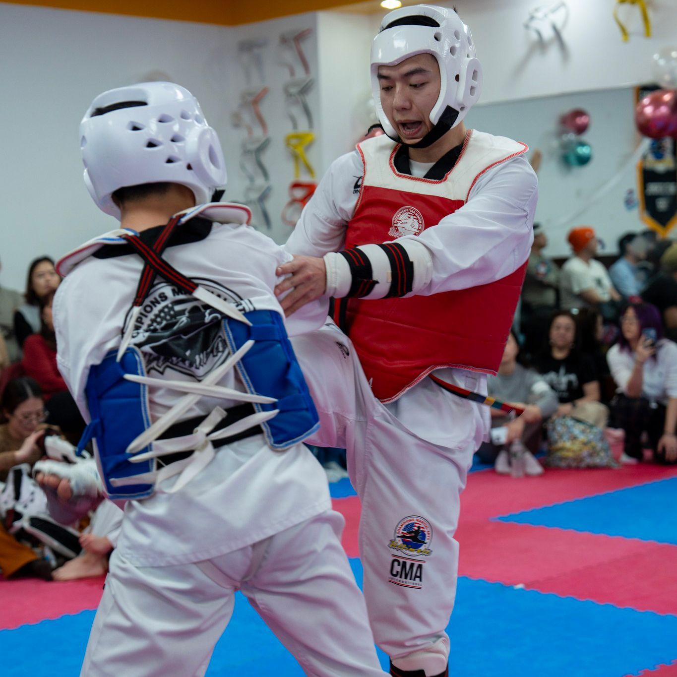 adult martial arts