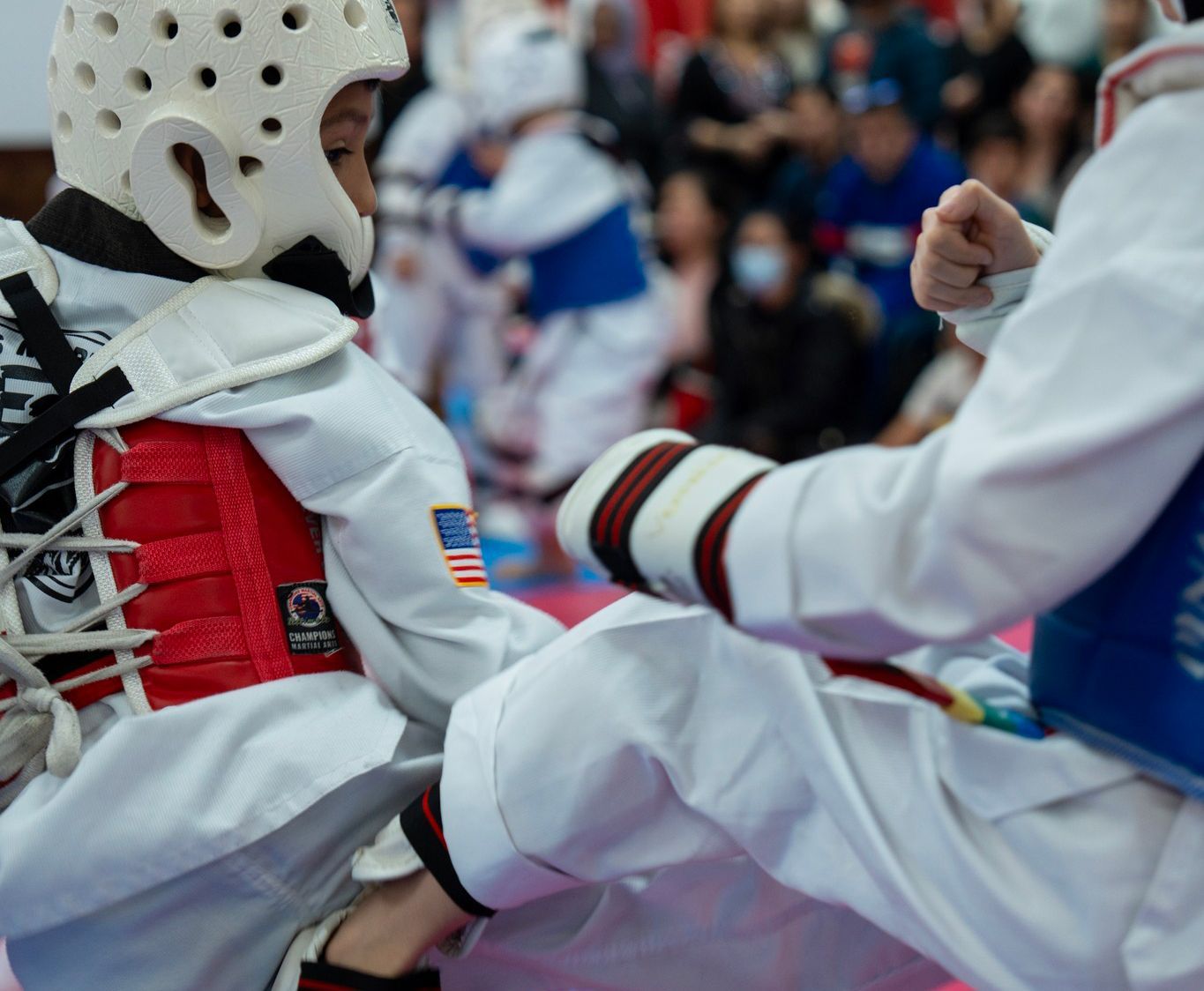 adult martial arts