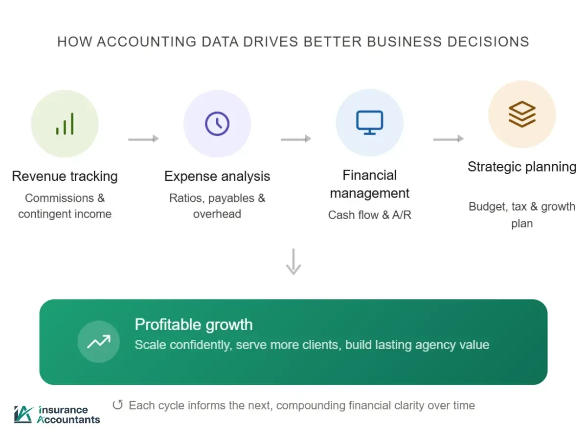 Infographic showing how an insurance accountant uses data to provide accounting insights for growth.