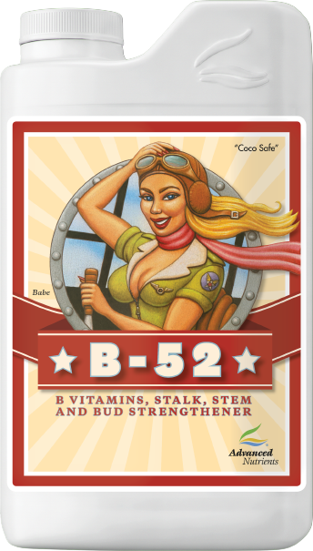 B-52 1L
