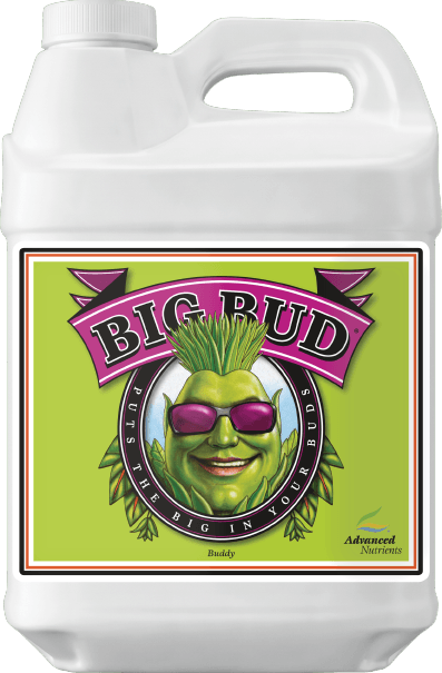 Big Bud