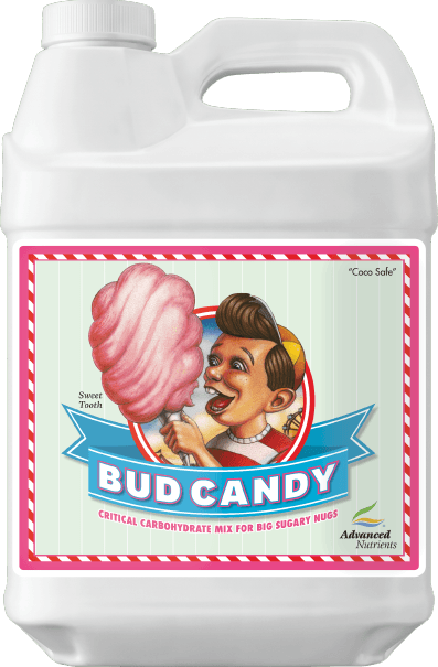 BUD CANDY