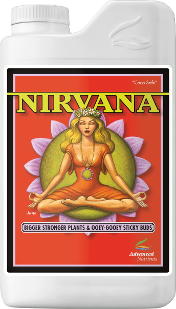 Nirvana 1L